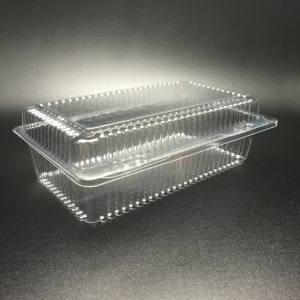 Пластиковый контейнер 20*10*8