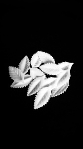 Белые Вафельные Листья розы-10шт