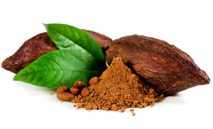 Алкализованный какао порошок Gerkens Cargill, 150 г.